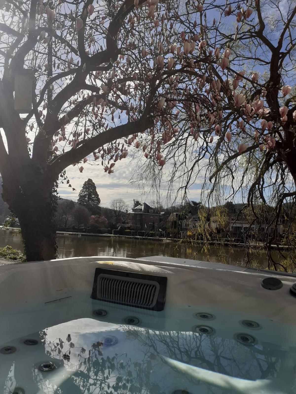 Вілла Pieds Dans L'Eau Private Wellness Bordure De Meuse Lustin Екстер'єр фото