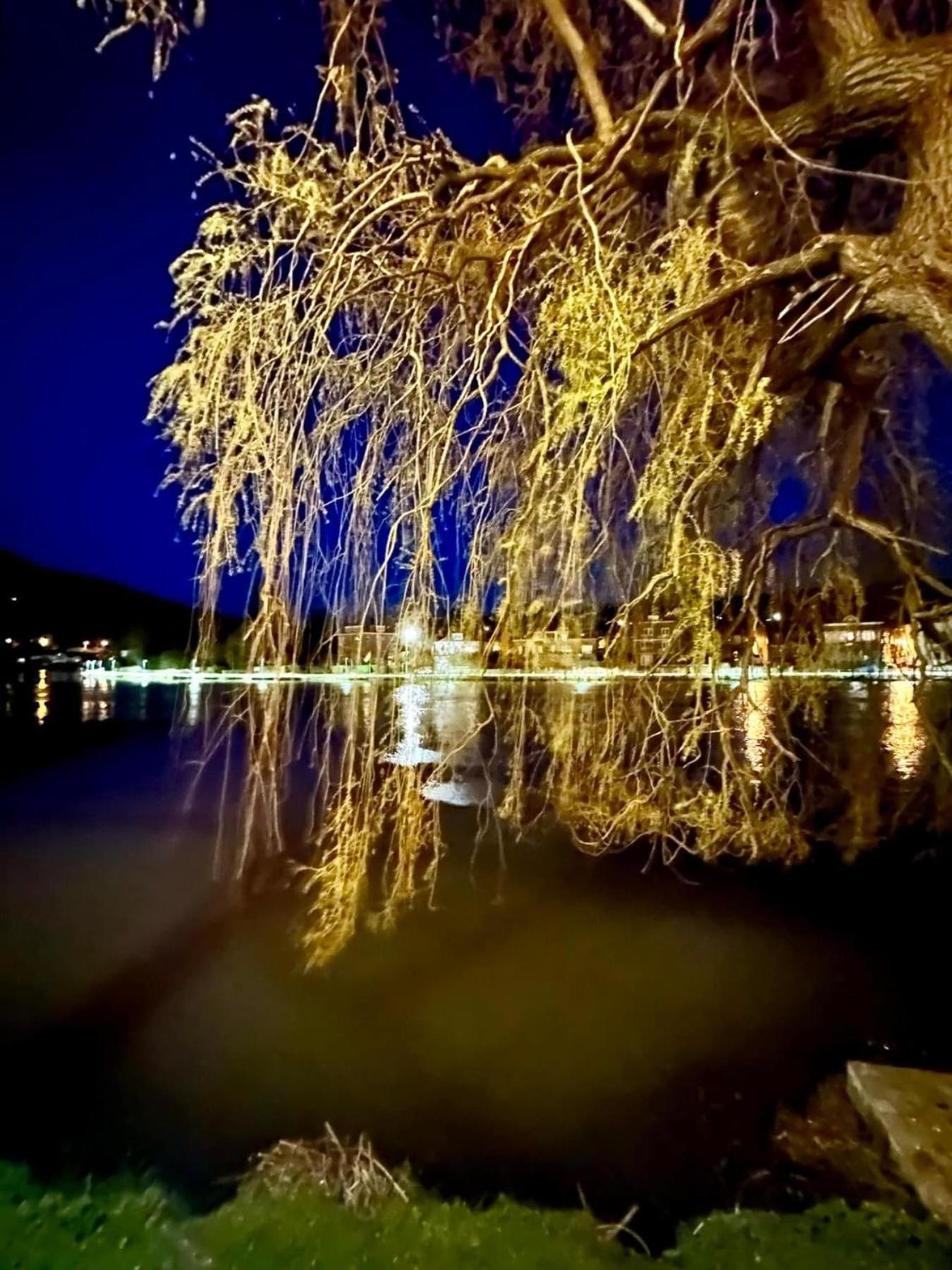 Вілла Pieds Dans L'Eau Private Wellness Bordure De Meuse Lustin Екстер'єр фото